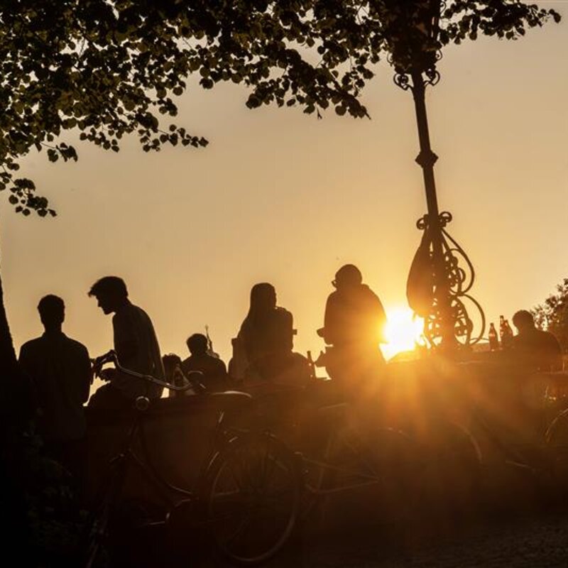 Silhouette von Menschen im Park vor einem Sonnenuntergang | © IMAGO / Wolfgang Maria Weber 