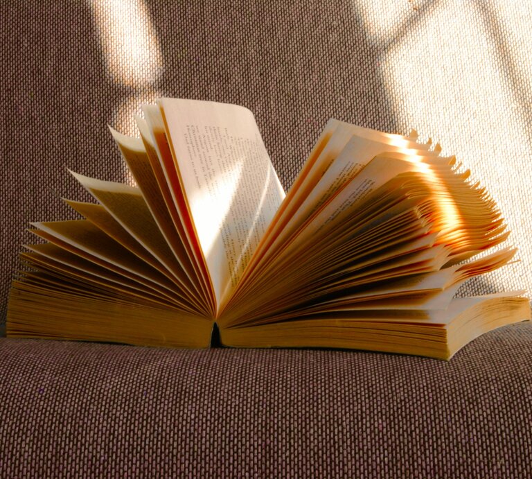 Ein Buch liegt aufgeschlagen auf einem Sofa in der Sonne. | © Foto: Jude Allenby Dossantos | Unsplash
