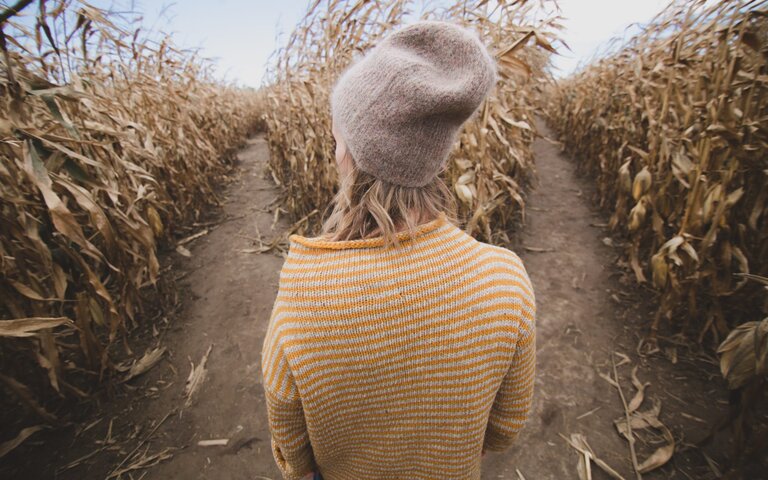 © Foto: Burst | Unsplash