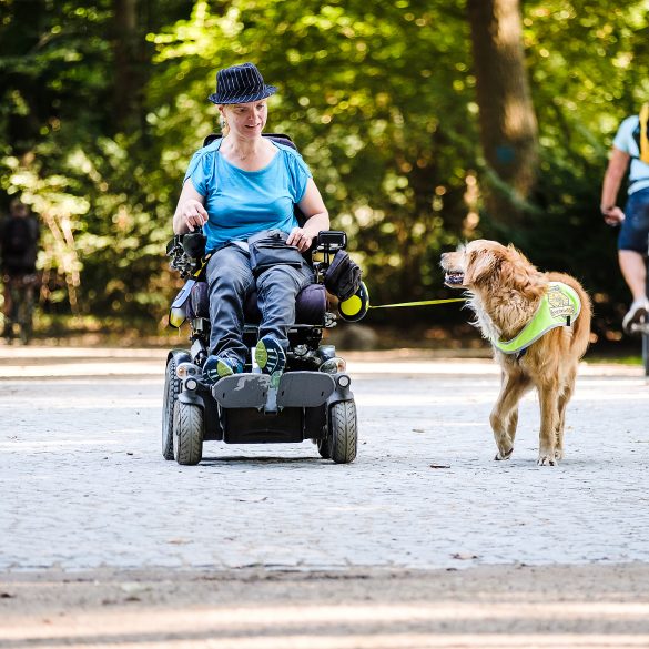Eine Frau ist im Rollstuhl mit ihrem Assistenzhund im Park unterwegs.