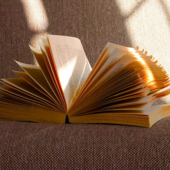 Ein Buch liegt aufgeschlagen auf einem Sofa in der Sonne.