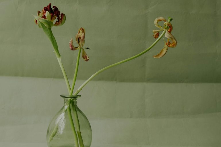 verblühte Blumen in einer Vase